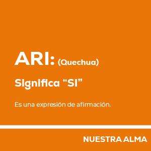 website arintia 4 5 6 04