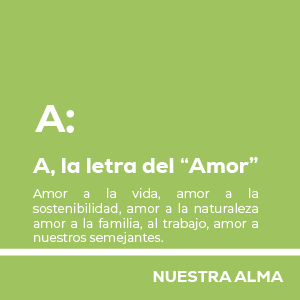 website arintia 4 5 6 06