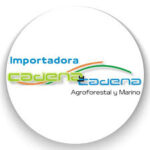cadena y cadena